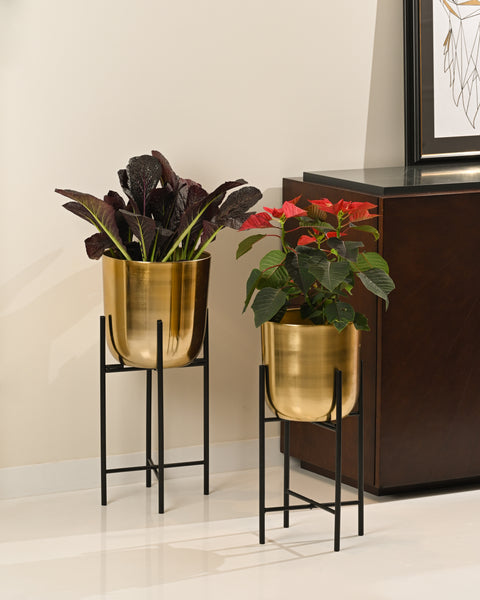 Gilded Grandeur Planters (Set of 2 - Large) (Only For Delhi NCR)